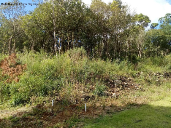 Imagem Terreno à Venda, 386 m² em Linha Imperial - Nova Petrópolis Imagem Terreno à Venda, 386 m² em Linha Imperial - Nova Petrópolis