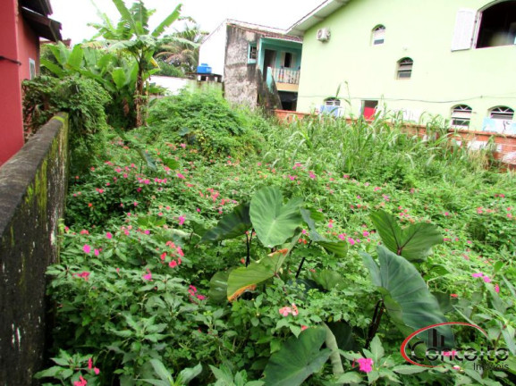 Imagem Terreno à Venda, 300 m² em Estufa Ii - Ubatuba Imagem Terreno à Venda, 300 m² em Estufa Ii - Ubatuba