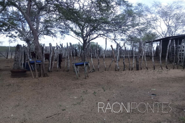 Imagem Fazenda à Venda, 1.710.000 m² em Zona Rural - São Pedro Imagem Fazenda à Venda, 1.710.000 m² em Zona Rural - São Pedro