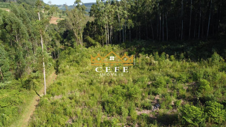 Imagem Sala Comercial à Venda, 20 m² em Pinhal Alto - Nova Petrópolis Imagem Sala Comercial à Venda, 20 m² em Pinhal Alto - Nova Petrópolis