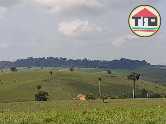 Imagem Fazenda à Venda, 51.304.000 m² em Zona Rural - Itupiranga Imagem Fazenda à Venda, 51.304.000 m² em Zona Rural - Itupiranga