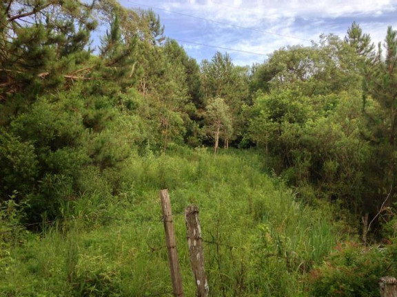 Imagem Terreno à Venda, 80 m² em Santa Felicidade - Curitiba