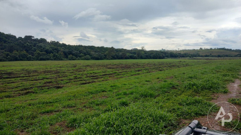 Imagem Terreno à Venda, 81.332 m² em Colônia Dona Luíza - Ponta Grossa