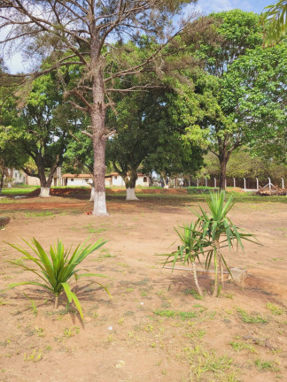 Imagem Chácara com 4 Quartos à Venda, 800 m² em Chácaras Bocaiúva Nova - Campinas