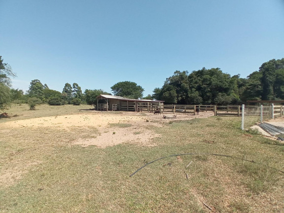 Imagem Chácara com 2 Quartos à Venda, 90.000 m² em águas Claras - Viamão