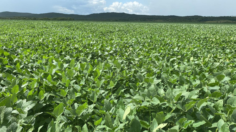 Imagem Fazenda à Venda, 963 m² em Rural - Rosário Oeste