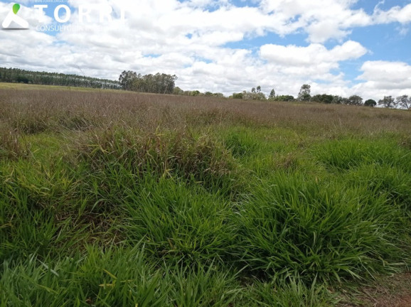 Imagem Imóvel com 1 Quarto à Venda, 1.137.400 m² em Centro - Paranapanema Imagem Imóvel com 1 Quarto à Venda, 1.137.400 m² em Centro - Paranapanema