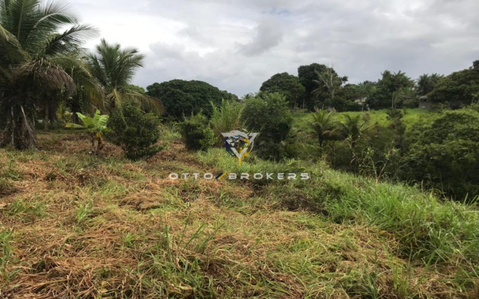 Imagem Terreno à Venda, 7.500 m² em Tânia - Santa Cruz Cabrália