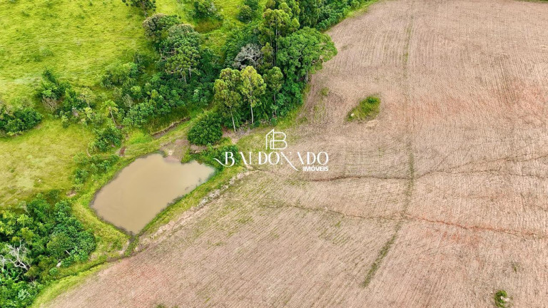 Imagem Terreno à Venda, 493.300 m² em Centro - Toledo Imagem Terreno à Venda, 493.300 m² em Centro - Toledo
