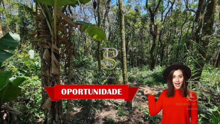 Imagem Terreno à Venda, 1.000 m² em Mato Dentro - Mairiporã Imagem Terreno à Venda, 1.000 m² em Mato Dentro - Mairiporã