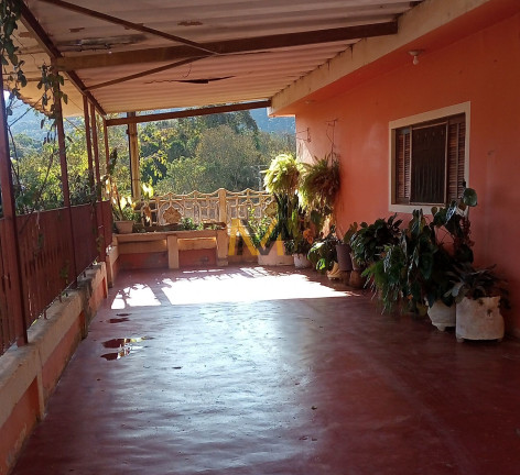Imagem Imóvel com 4 Quartos à Venda, 8.000 m² em Pirucaia - Mairiporã Imagem Imóvel com 4 Quartos à Venda, 8.000 m² em Pirucaia - Mairiporã
