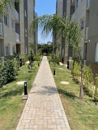 Imagem Apartamento com 2 Quartos à Venda, 46 m² em Ponte De São João - Jundiaí Imagem Apartamento com 2 Quartos à Venda, 46 m² em Ponte De São João - Jundiaí