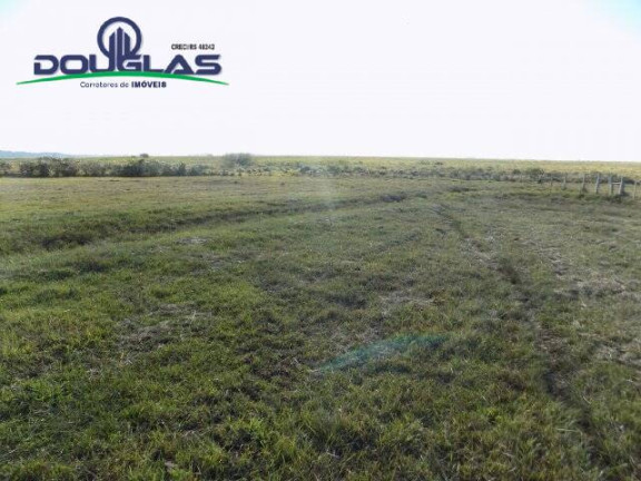 Imagem Chácara à Venda, 8 m² em águas Claras - Viamão