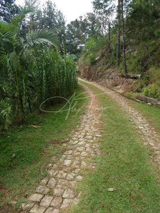 Imagem Casa com 4 Quartos à Venda, 270 m² em Domignos Martins - Domingos Martins