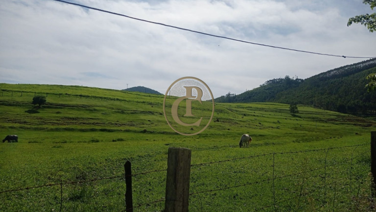 Imagem Fazenda para Alugar, 100 m² em Serrote - Santa Branca Imagem Fazenda para Alugar, 100 m² em Serrote - Santa Branca