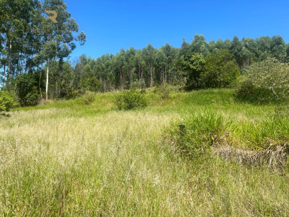 Imagem Chácara com 2 Quartos à Venda, 37.000 m² em Pinheirinho - Capela De Santana Imagem Chácara com 2 Quartos à Venda, 37.000 m² em Pinheirinho - Capela De Santana
