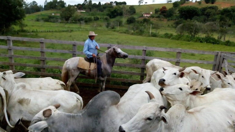 Imagem Chácara com 3 Quartos à Venda, 532 m² em Zona Rural - Cambuí Imagem Chácara com 3 Quartos à Venda, 532 m² em Zona Rural - Cambuí