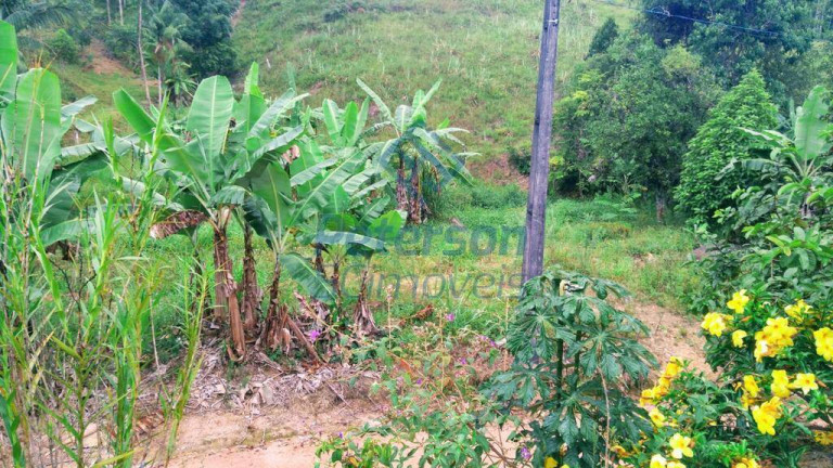 Imagem Chácara à Venda, 20 m² em Tigipió - São João Batista