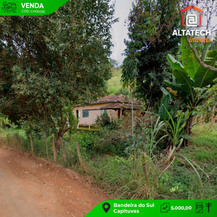 Imagem Imóvel com 2 Quartos à Venda, 5.000 m² em Bairro Capituvas - Bandeira Do Sul Imagem Imóvel com 2 Quartos à Venda, 5.000 m² em Bairro Capituvas - Bandeira Do Sul