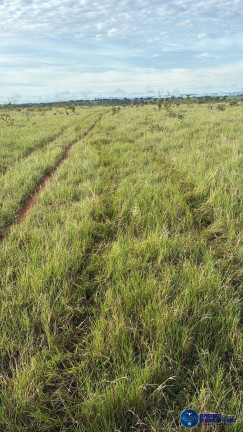 Imagem Fazenda à Venda, 260 m² em Zona Rural - Mineiros Imagem Fazenda à Venda, 260 m² em Zona Rural - Mineiros