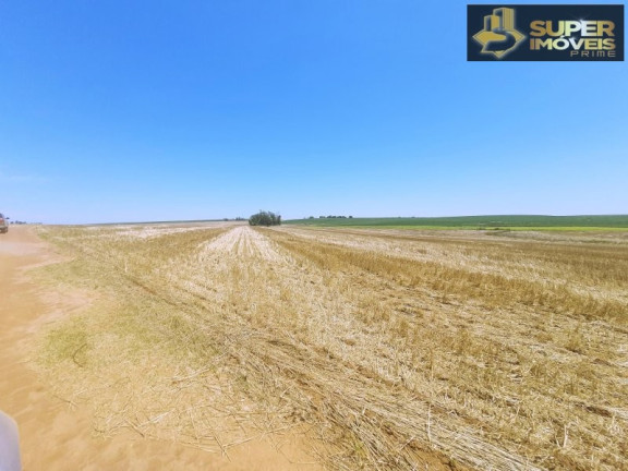 Imagem Imóvel com 3 Quartos à Venda, 21.000.000 m² em área Rural De Cachoeira Do Sul - Cachoeira Do Sul