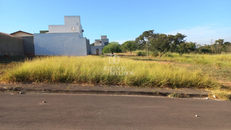 Imagem Terreno à Venda, 319 m² em Jardim Elite - Mogi Mirim Imagem Terreno à Venda, 319 m² em Jardim Elite - Mogi Mirim