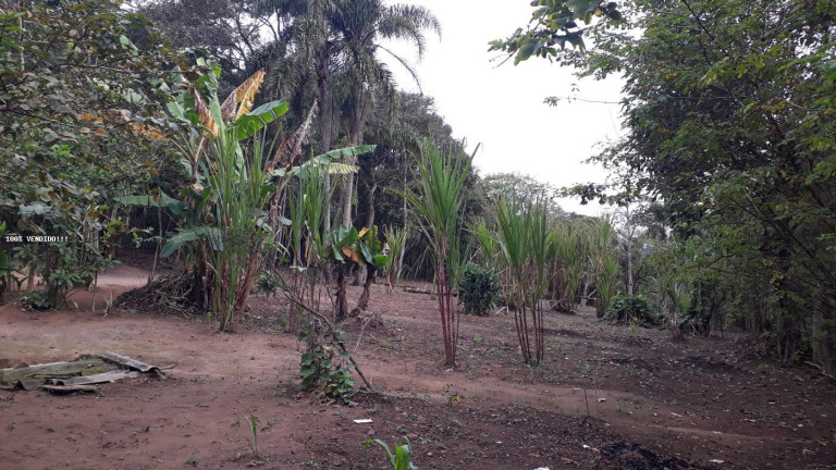 Imagem Imóvel à Venda, 500 m² em Vila Caputera - Mogi Das Cruzes