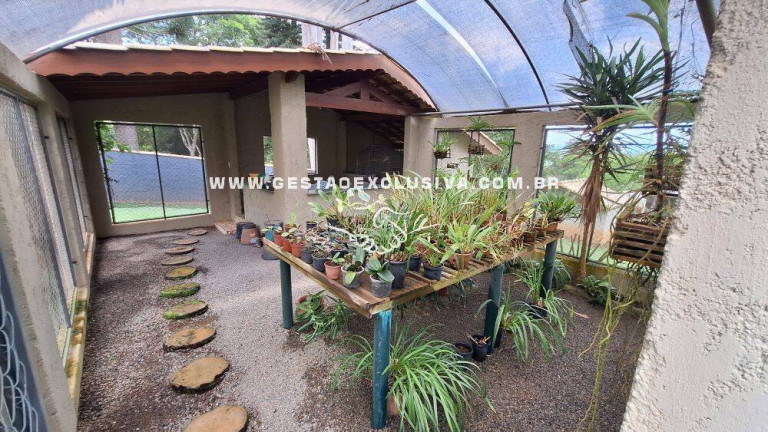 Imagem Chácara com 3 Quartos à Venda, 48.000 m² em Sítios Primavera - Jarinu