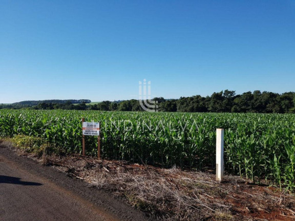 Imagem Fazenda à Venda, 10.649 m² em Cognópolis - Foz Do Iguacu Imagem Fazenda à Venda, 10.649 m² em Cognópolis - Foz Do Iguacu