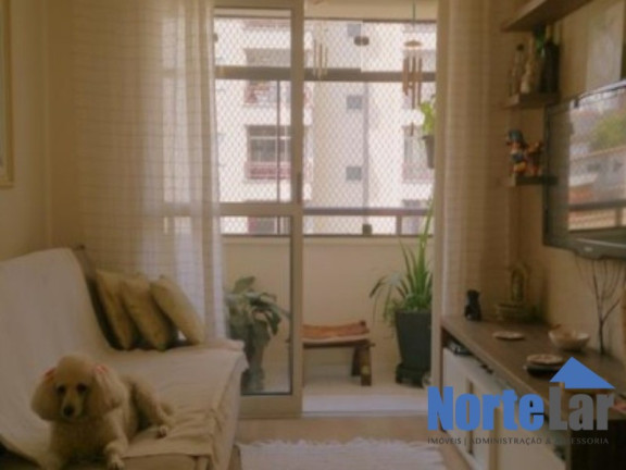 Imagem Apartamento com 2 Quartos à Venda, 52 m² em Parque Mandaqui - São Paulo Imagem Apartamento com 2 Quartos à Venda, 52 m² em Parque Mandaqui - São Paulo