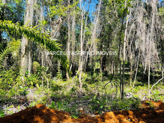Imóvel à Venda, 1.000 m² em Ponta Do Ramo - Ilhéus