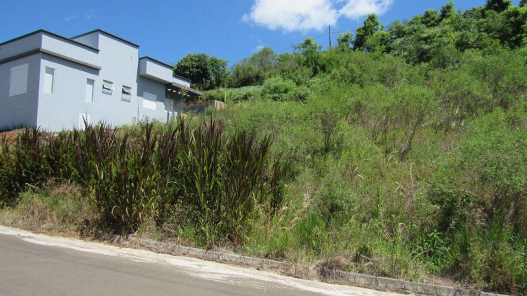 Imagem Terreno à Venda, 451 m² em Primavera - Concórdia Imagem Terreno à Venda, 451 m² em Primavera - Concórdia