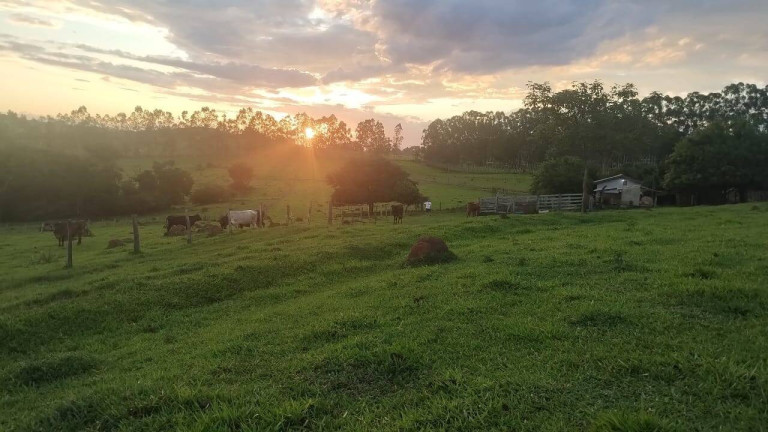 Imagem Chácara à Venda, 2 m² em Vargem Grande Do Sul Imagem Chácara à Venda, 2 m² em Vargem Grande Do Sul