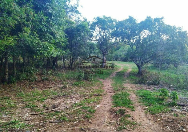 Imagem Terreno à Venda, 5.000 m² em Bom Jardim I - Guaratinguetá Imagem Terreno à Venda, 5.000 m² em Bom Jardim I - Guaratinguetá