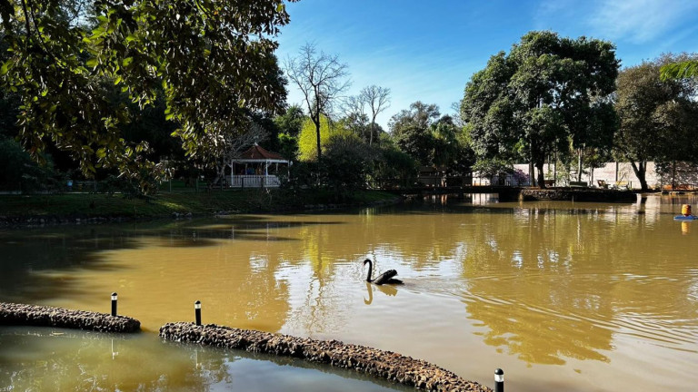 Imagem Terreno à Venda, 1.222 m² em Jardim Ana Cristina - Foz Do Iguaçu