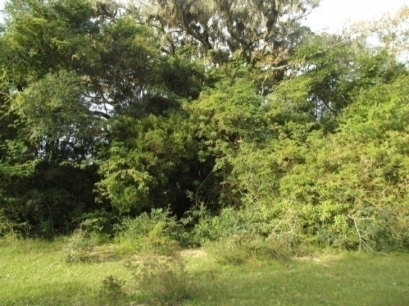 Imagem Chácara à Venda, 8 m² em águas Claras - Viamão Imagem Chácara à Venda, 8 m² em águas Claras - Viamão