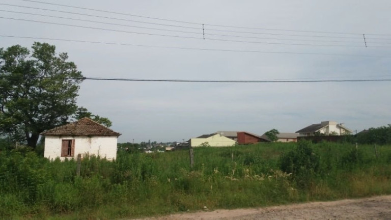Terreno à Venda, 1.250 m² em Pinheiro Machado - Santa Maria
