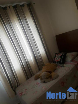 Imagem Apartamento com 2 Quartos à Venda, 50 m² em Vila Maria - São Paulo Imagem Apartamento com 2 Quartos à Venda, 50 m² em Vila Maria - São Paulo