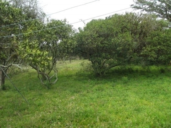 Imagem Chácara com 1 Quarto à Venda, 108.000 m² em Itapuã - Viamão Imagem Chácara com 1 Quarto à Venda, 108.000 m² em Itapuã - Viamão