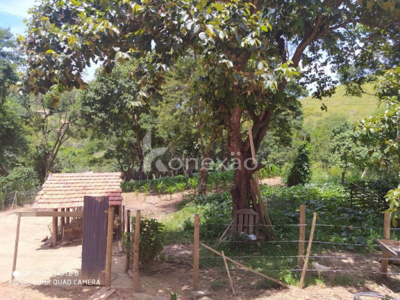 Imagem Chácara com 2 Quartos à Venda, 120 m² em Centro - Paraibuna