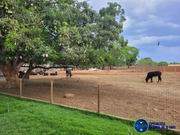 Imagem Chácara à Venda, 2 m² em Zona Rural - Petrolina De Goiás Imagem Chácara à Venda, 2 m² em Zona Rural - Petrolina De Goiás