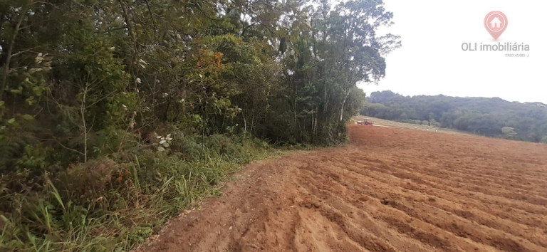 Imagem Imóvel à Venda, 98.000 m² em Piedade - Piedade