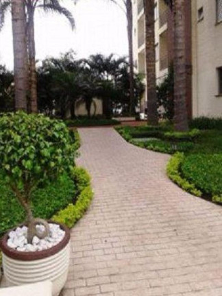 Imagem Apartamento com 2 Quartos à Venda, 50 m² em Jardim Monjolo - São Paulo Imagem Apartamento com 2 Quartos à Venda, 50 m² em Jardim Monjolo - São Paulo