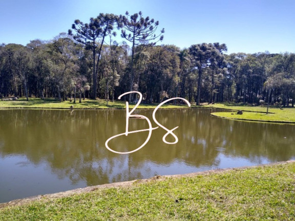 Imagem Imóvel com 2 Quartos à Venda, 30.000 m² em Centro - Gramado Imagem Imóvel com 2 Quartos à Venda, 30.000 m² em Centro - Gramado