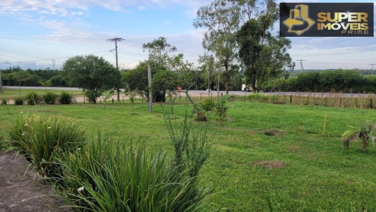 Imagem Imóvel com 3 Quartos à Venda, 20.000 m² em Fragata - Pelotas