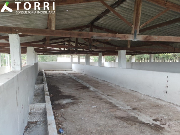 Imagem Imóvel com 4 Quartos à Venda, 102.000 m² em Centro - Bofete Imagem Imóvel com 4 Quartos à Venda, 102.000 m² em Centro - Bofete