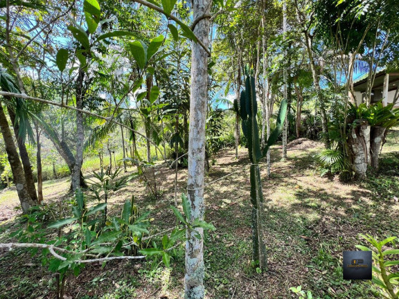 Imagem Imóvel com 2 Quartos à Venda, 16.800 m² em Bairro Dos Padeiros - Juquitiba Imagem Imóvel com 2 Quartos à Venda, 16.800 m² em Bairro Dos Padeiros - Juquitiba