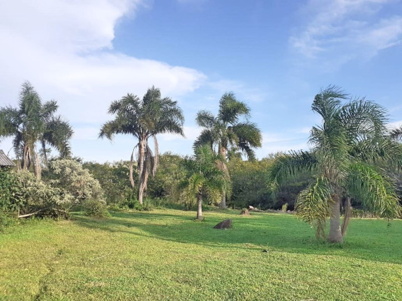 Imagem Fazenda à Venda, 30.000 m² em águas Claras - Viamão Imagem Fazenda à Venda, 30.000 m² em águas Claras - Viamão
