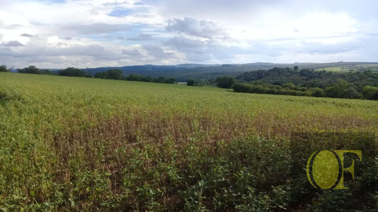 Imagem Fazenda à Venda, 75 m² em Rural - Paranapanema Imagem Fazenda à Venda, 75 m² em Rural - Paranapanema