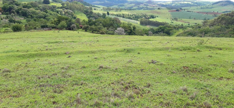 Imagem Chácara à Venda, 13 m² em Rural - Piraju Imagem Chácara à Venda, 13 m² em Rural - Piraju